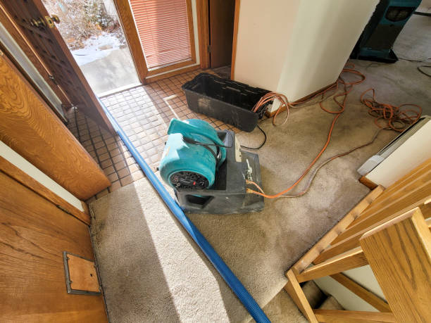  Yuipa, CA Water damage restoration Pros