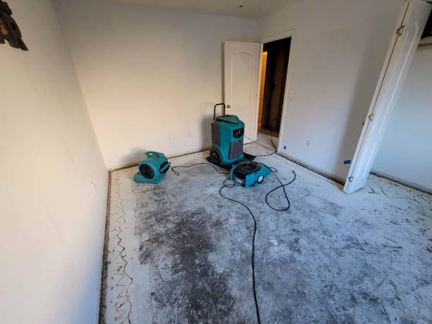 Best Basement water damage restoration  in Yuipa, CA