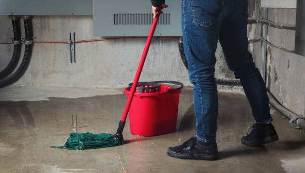 Best Flood damage cleanup  in Yuipa, CA