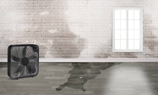 Best Fire Damage Restoration  in Yuipa, CA