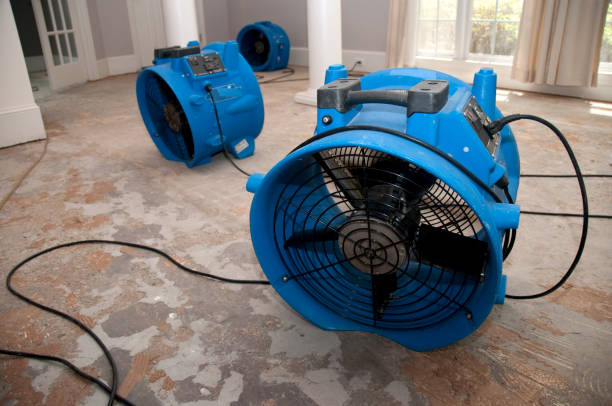 Best Residential water damage restoration  in Yuipa, CA