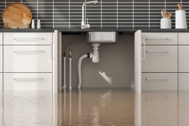 Best Water damage restoration experts  in Yuipa, CA