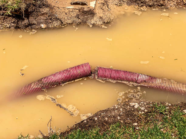Best Sewage cleanup and water damage restoration  in Yuipa, CA
