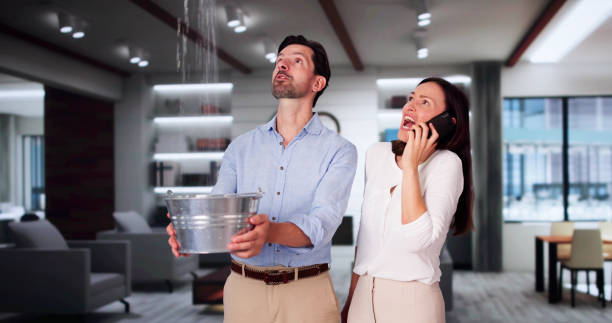 Best Local water damage restoration  in Yuipa, CA