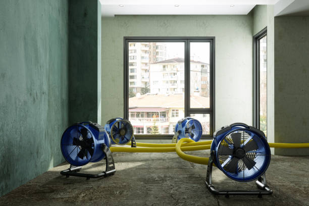 Best 24-hour water damage restoration  in Yuipa, CA